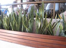 Kwikfynd Indoor Planting
strathpinecentre