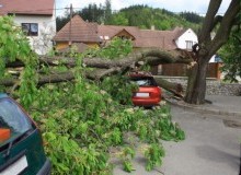 Kwikfynd Tree Cutting Services
strathpinecentre