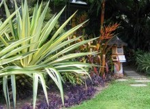 Kwikfynd Tropical Landscaping
strathpinecentre