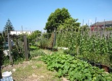 Kwikfynd Vegetable Gardens
strathpinecentre